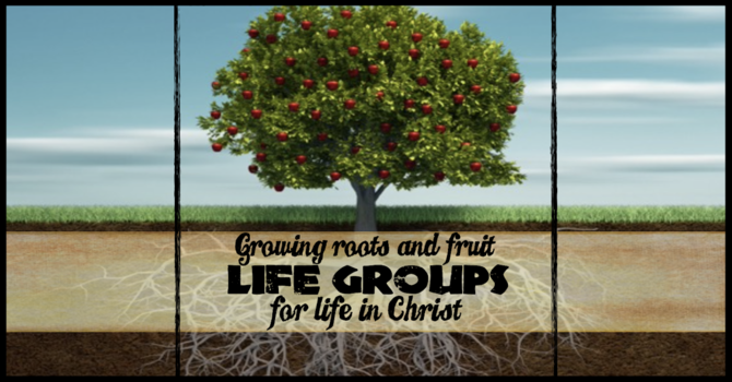 Life Groups